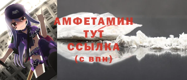 твердый Алзамай