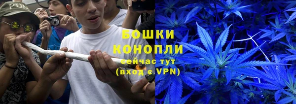 твердый Алзамай
